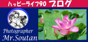 大賀ハスは2000年前の種から発芽し開花。その写真集