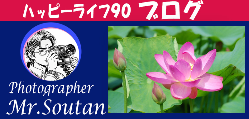 大賀ハスは2000年前の種から発芽し開花。その写真集
