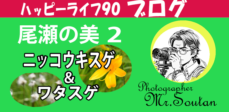 7月の尾瀬の美を撮る