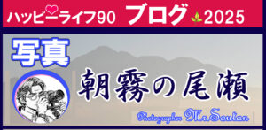 朝霧の尾瀬の美を撮る