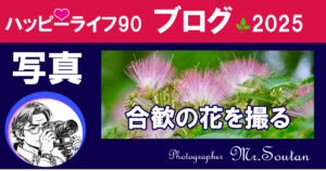 美を撮る：合歓の花