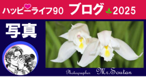 ランの美をさらに美しく撮る