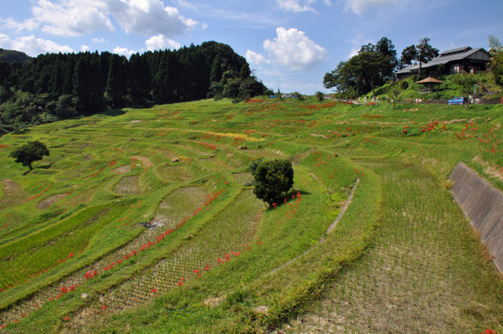 大山千枚田はその起源が非常に古い