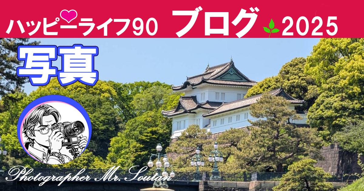 写真とエッセイで皇居散策の小さな旅をご案内