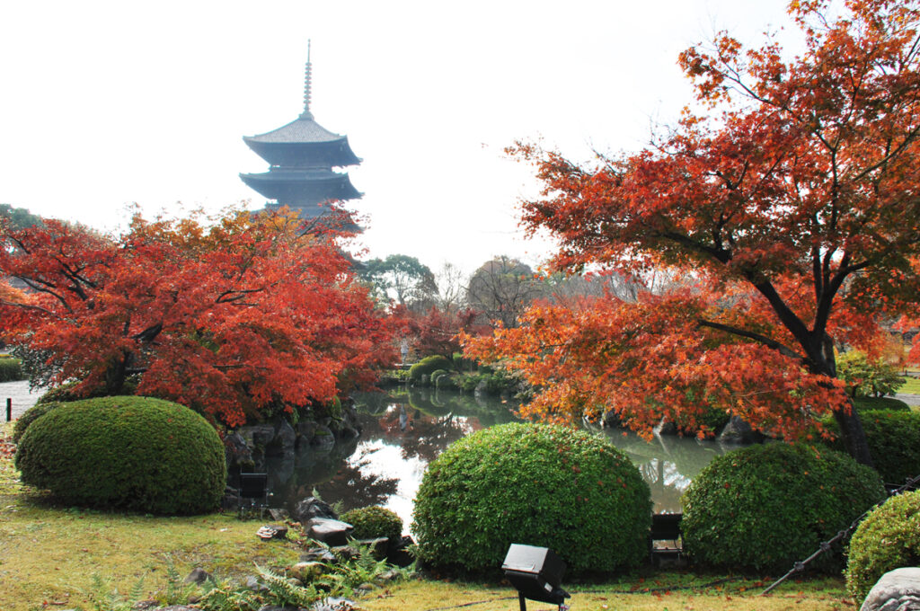 1.東寺(とうじ)庭全景