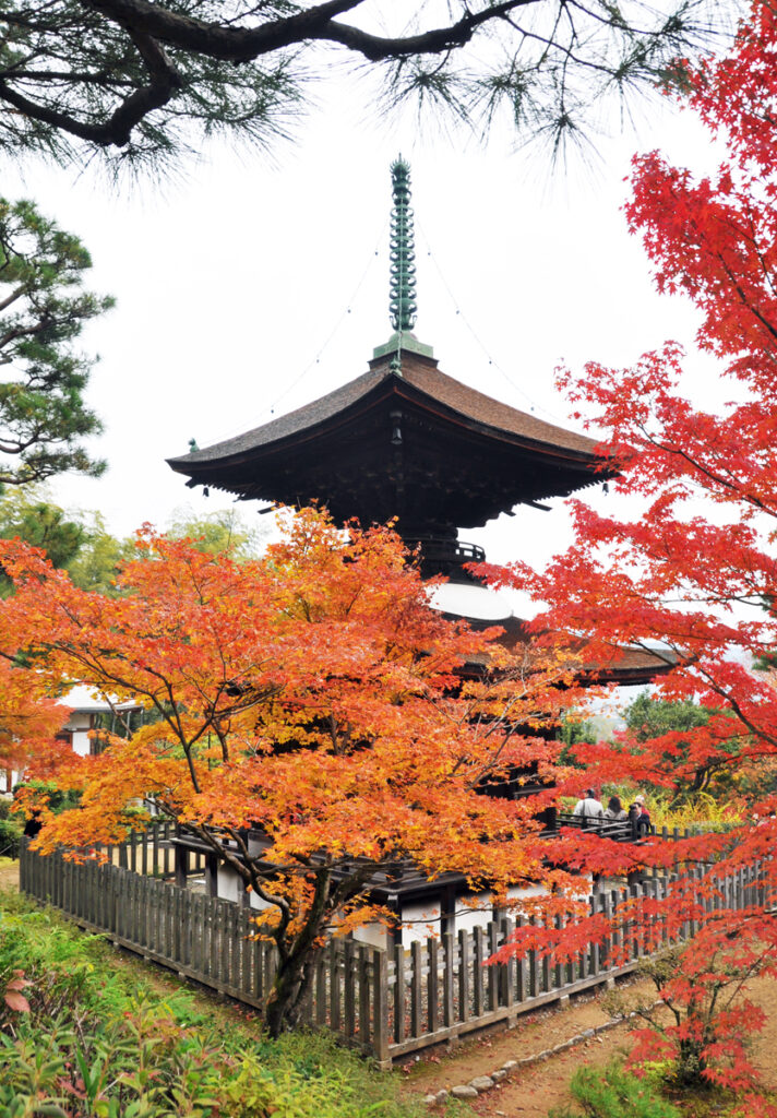3 常寂光寺(じょうじゃっこうじ)
構図の工夫