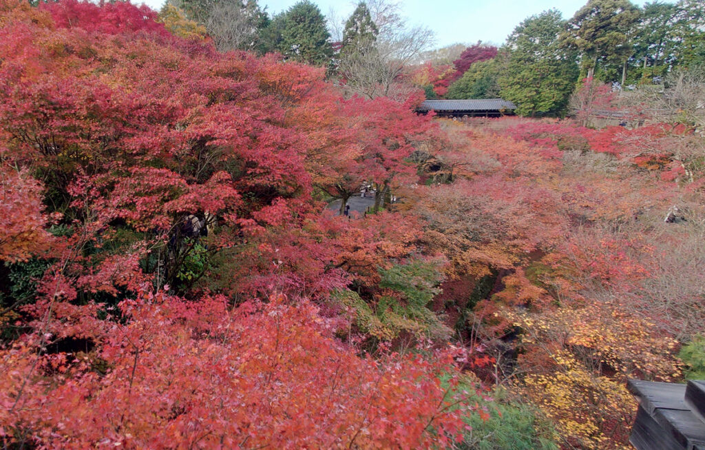 東福寺2