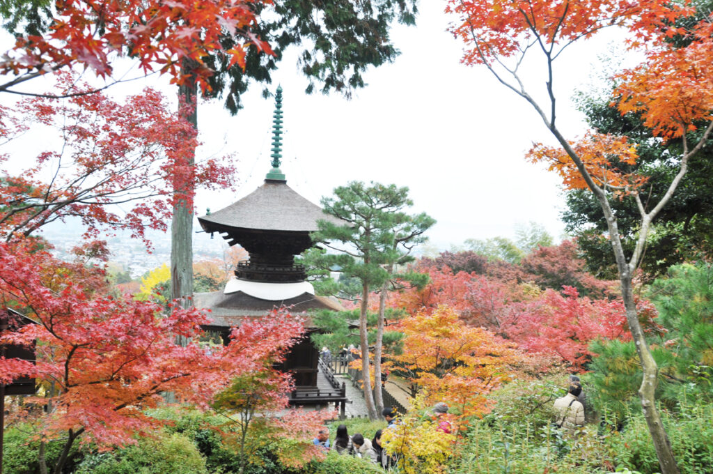 3 常寂光寺(じょうじゃっこうじ)