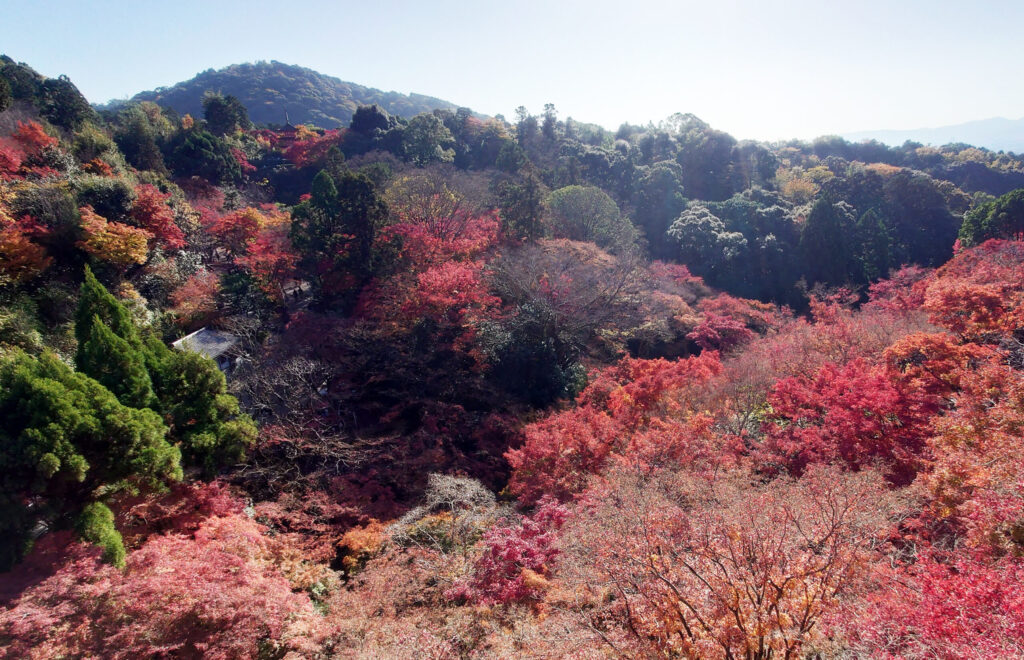 5.清水寺(きよみずでら)遠景を眺めて