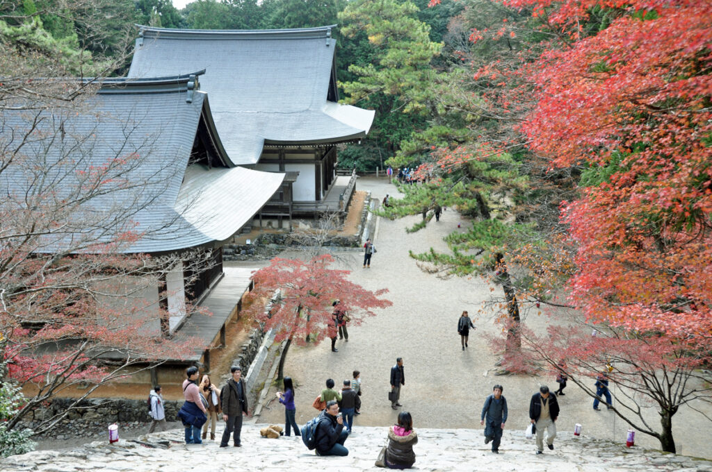 6 神護寺(じんごじ)