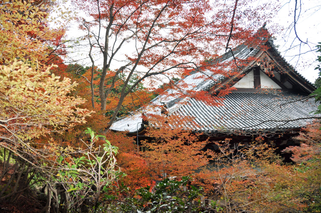 6 神護寺(じんごじ)
