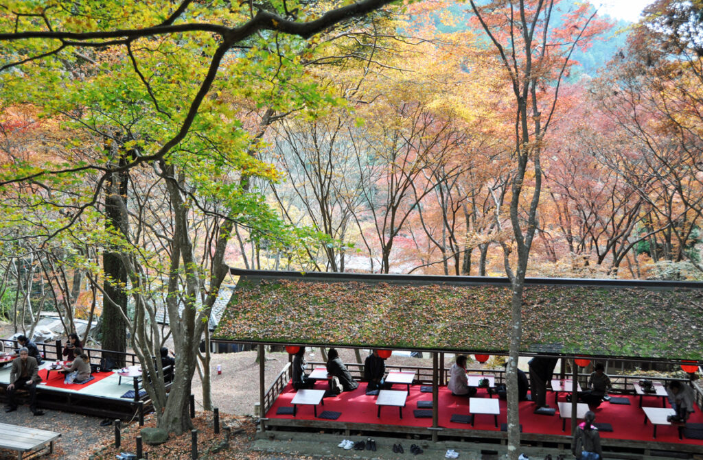 6 神護寺(じんごじ)ホッと一息。美しい眺めの中でお茶しよう。