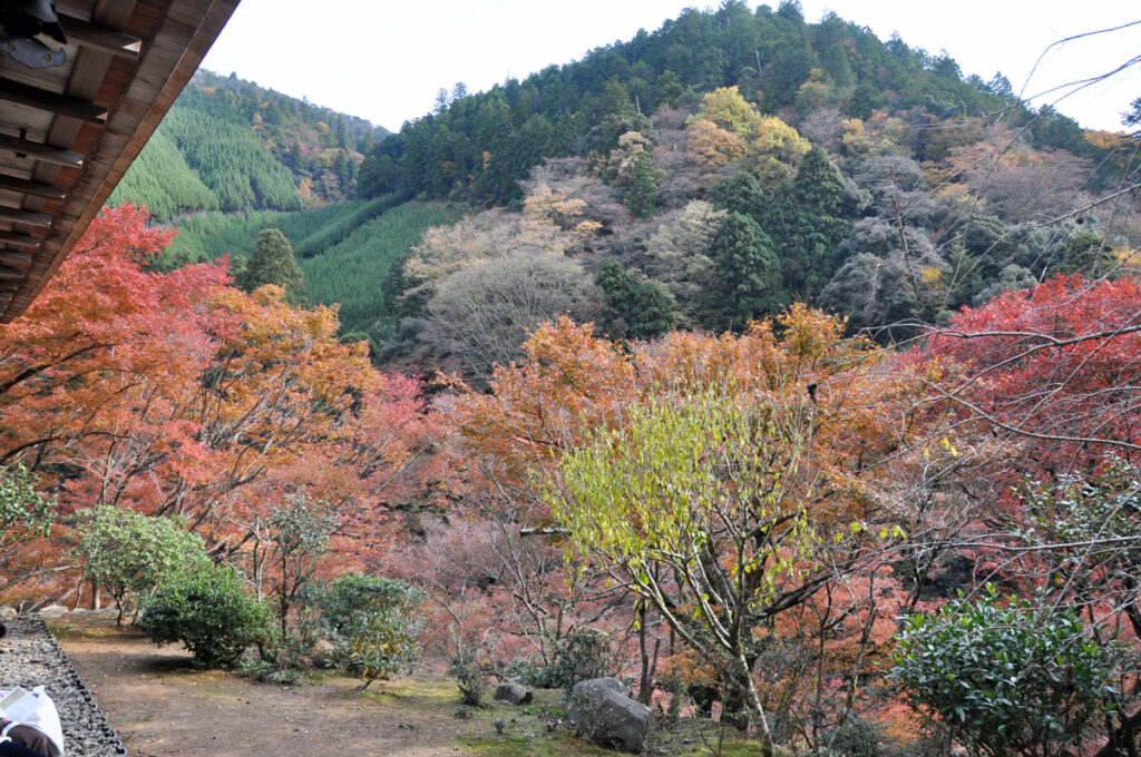 7 高山寺(こうさんじ)庭園