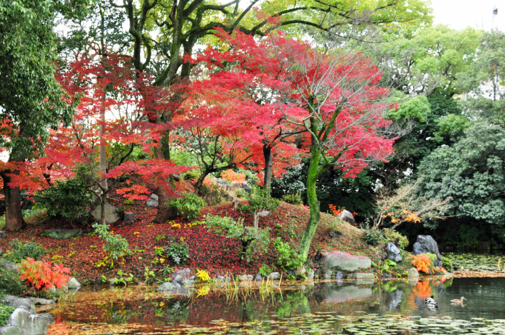 8.渉成園(しょうせいえん)