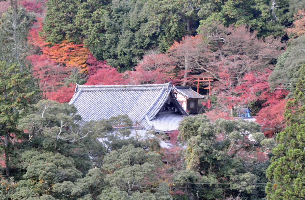 7 高山寺(こうさんじ)