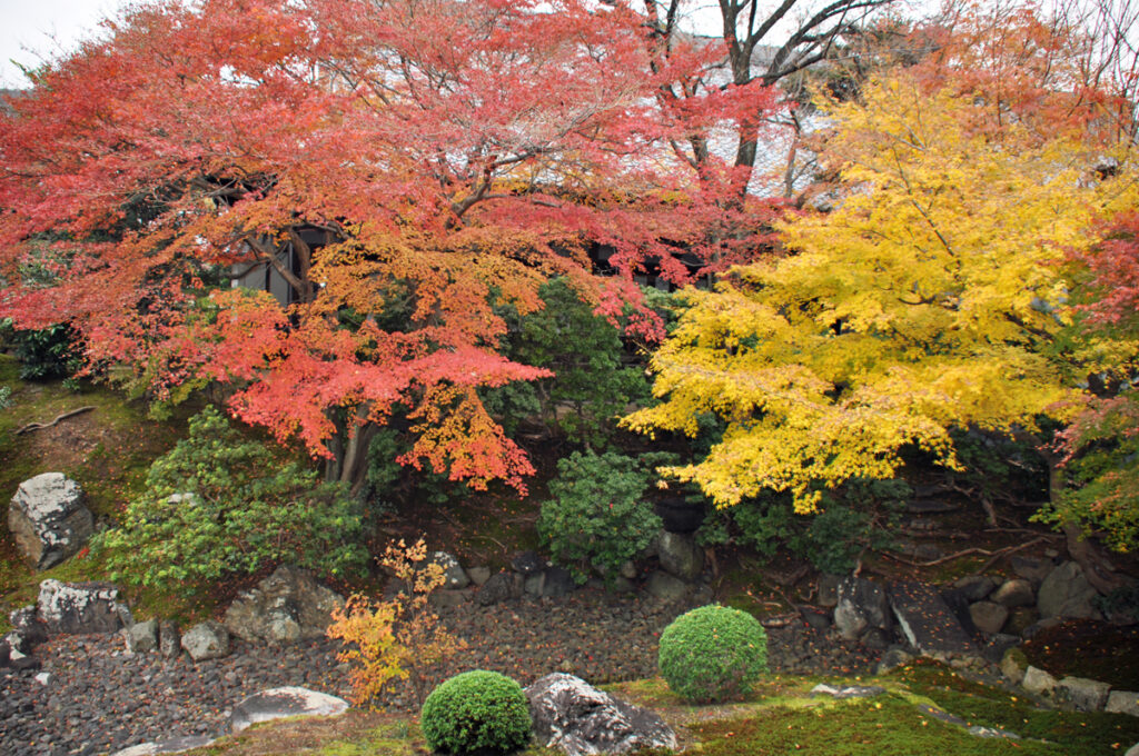 10.相国寺(しょうこくじ)紅葉