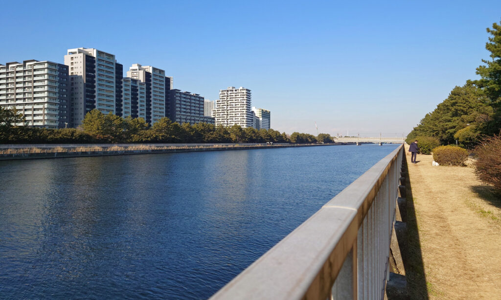 整備された花見川河岸