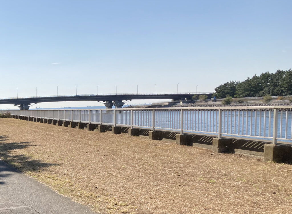 花見川河岸は人々の憩いの場所