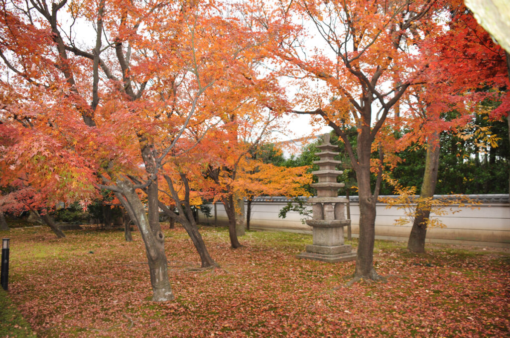10.相国寺(しょうこくじ)