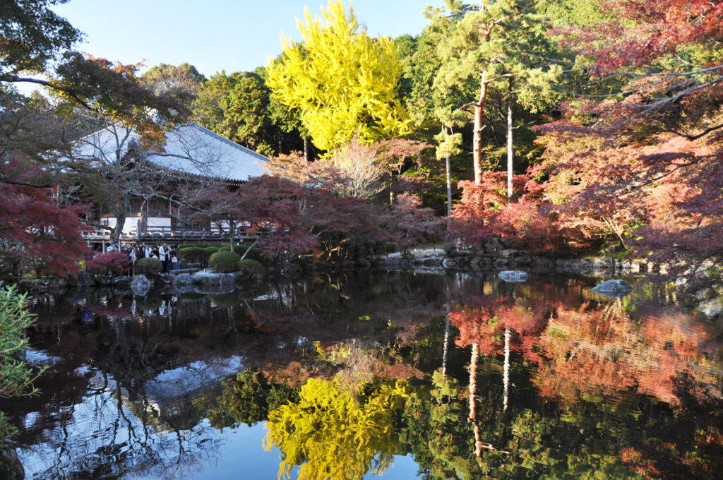 11.醍醐寺(だいごじ)庭園
