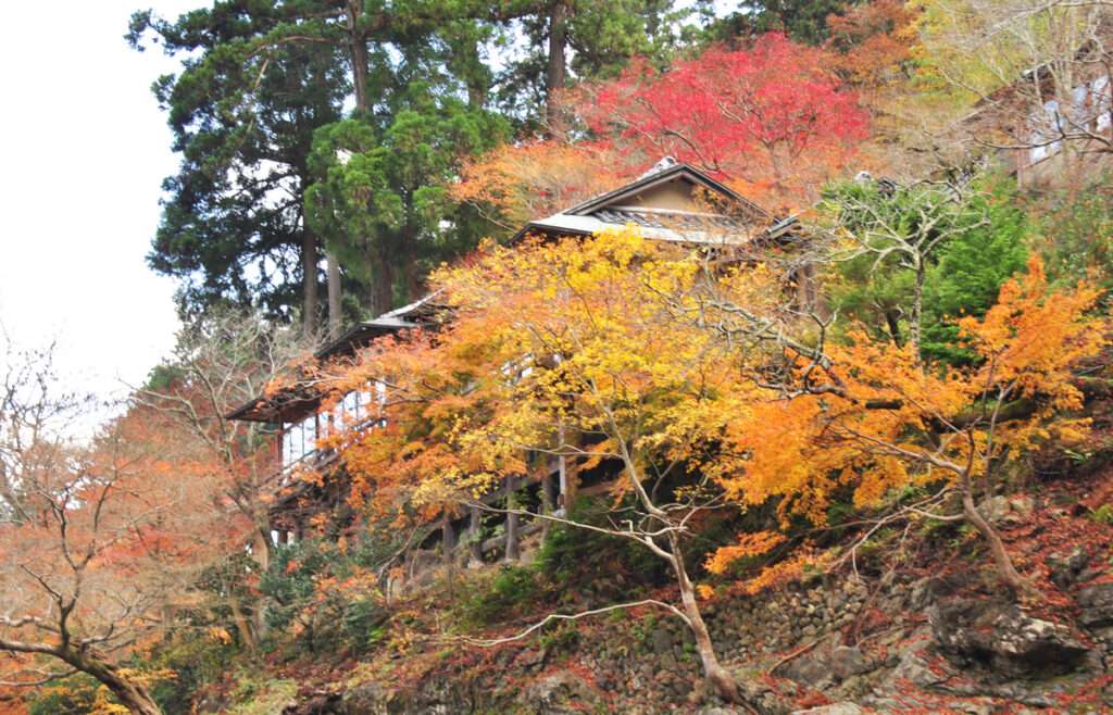 10 保津峡(ほづきょう)