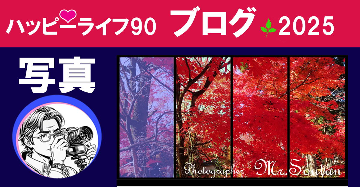 京都写真旅：紅葉の美（2）