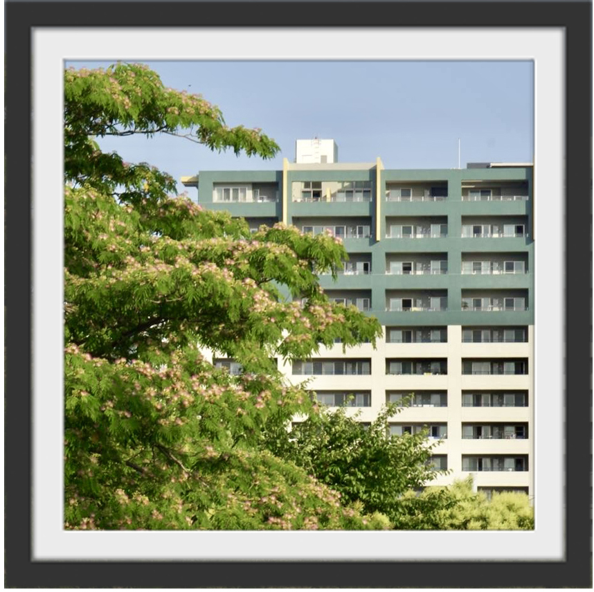 高層マンションと背比べ