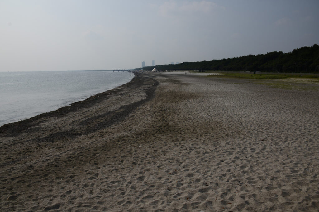 2019年の台風19号の爪痕,灰色の海岸