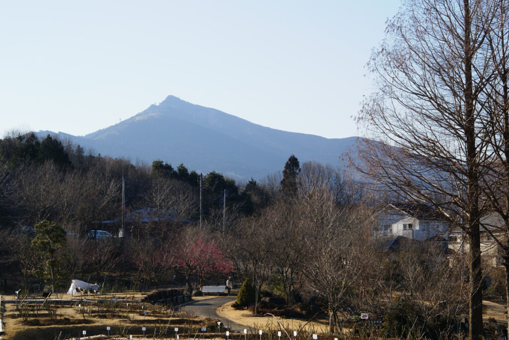 筑波山東側:かすみがうら市の辻の風景