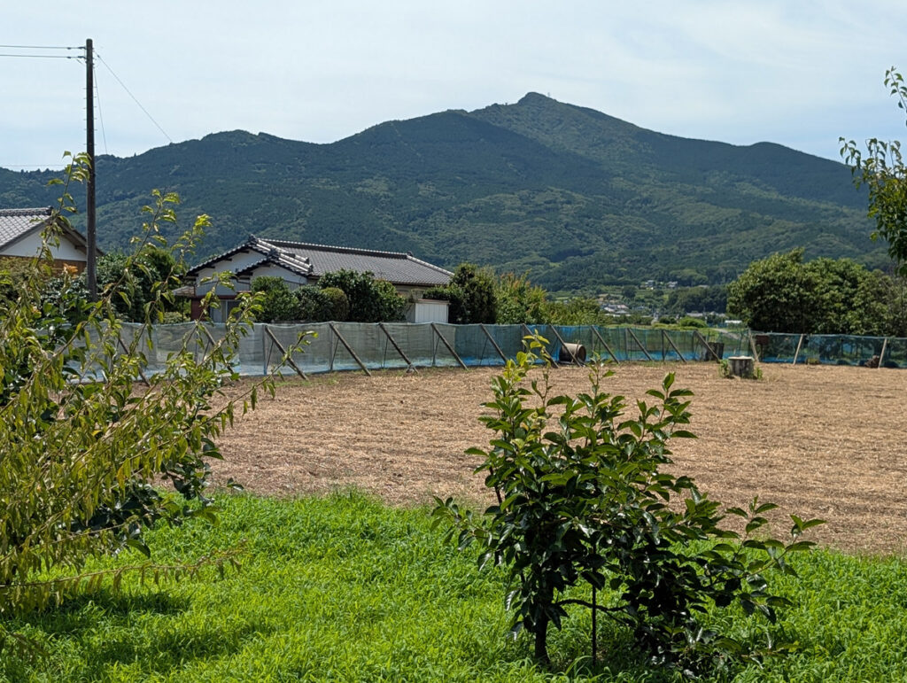 麓近くは学園都市