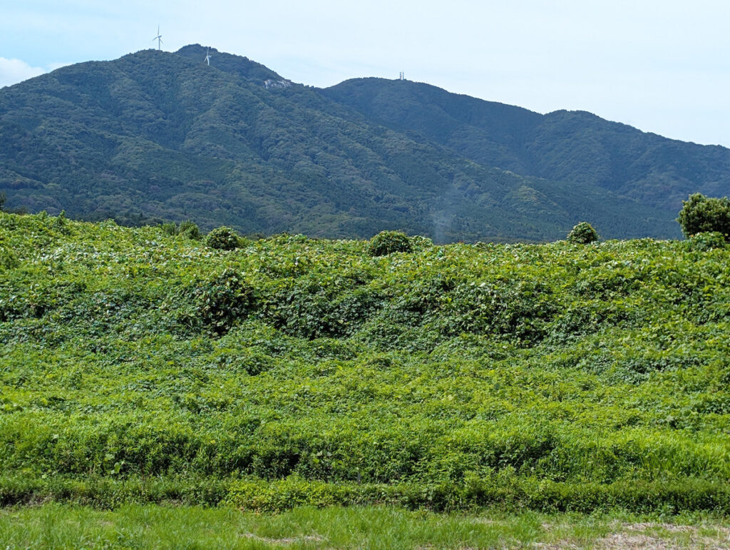 筑波山北側:きのこ山(528m)や加波山(709m)など連山が続く。