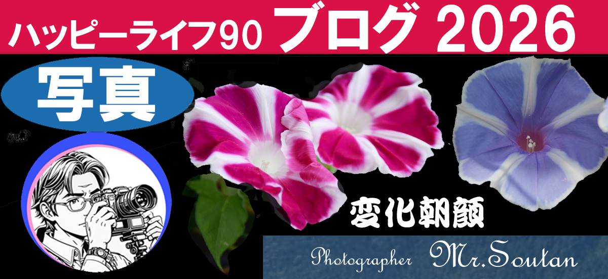 江戸時代の変化朝顔を写真で残す