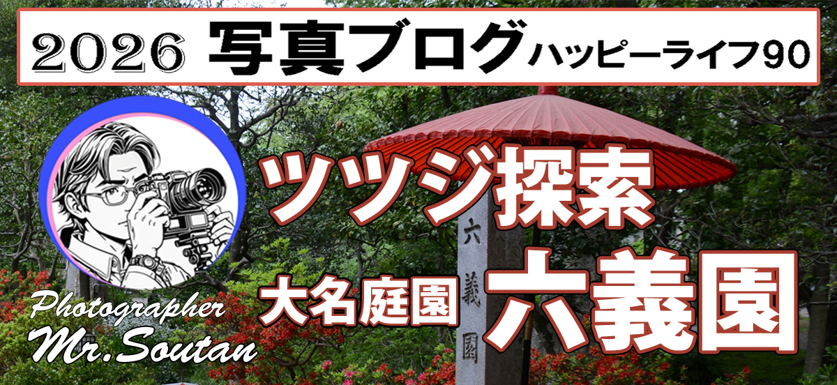 大名庭園六義園のツツジ探索