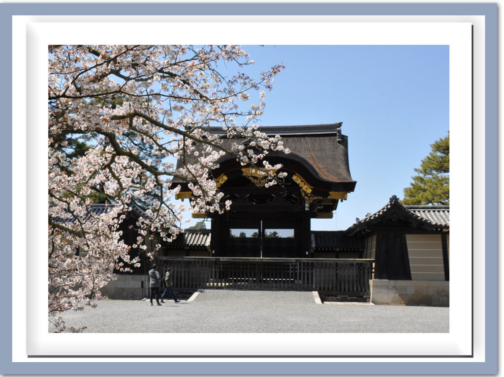 京都御苑—高貴な桜の園と建春門
