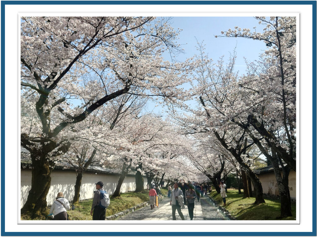 真言宗の大本山、醍醐寺