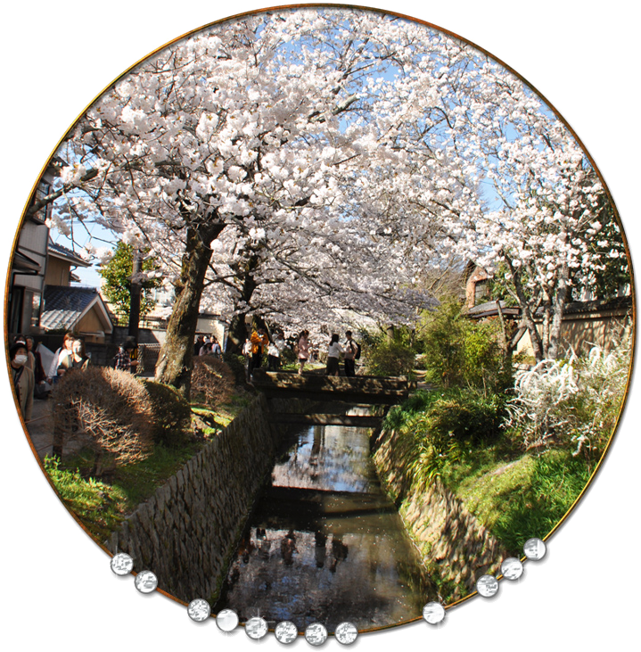 哲学の道