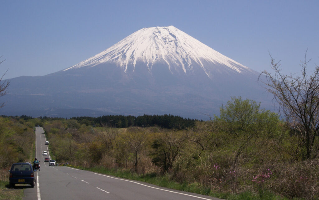 命の輝き - 朝霧高原