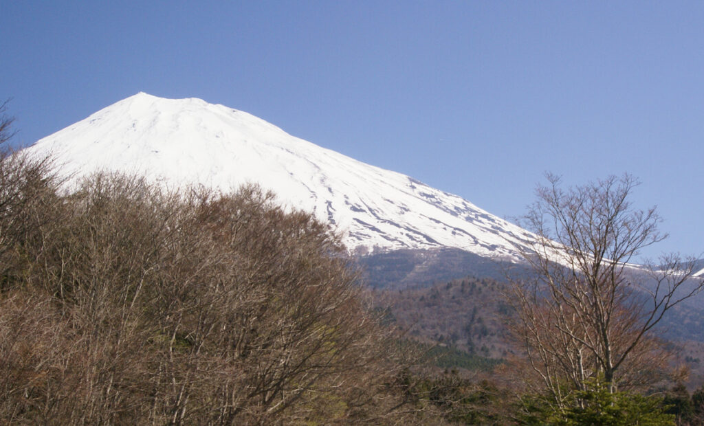 早春のドラマ - 十里木高原
