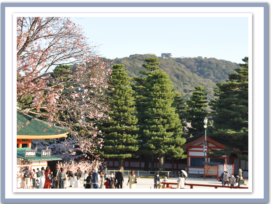 平安神宮の東側、京都の市街地を一望できる東山山頂にある将軍塚(しょうぐんづか)の森