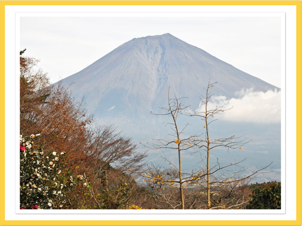 田貫湖からの壮大な富士山