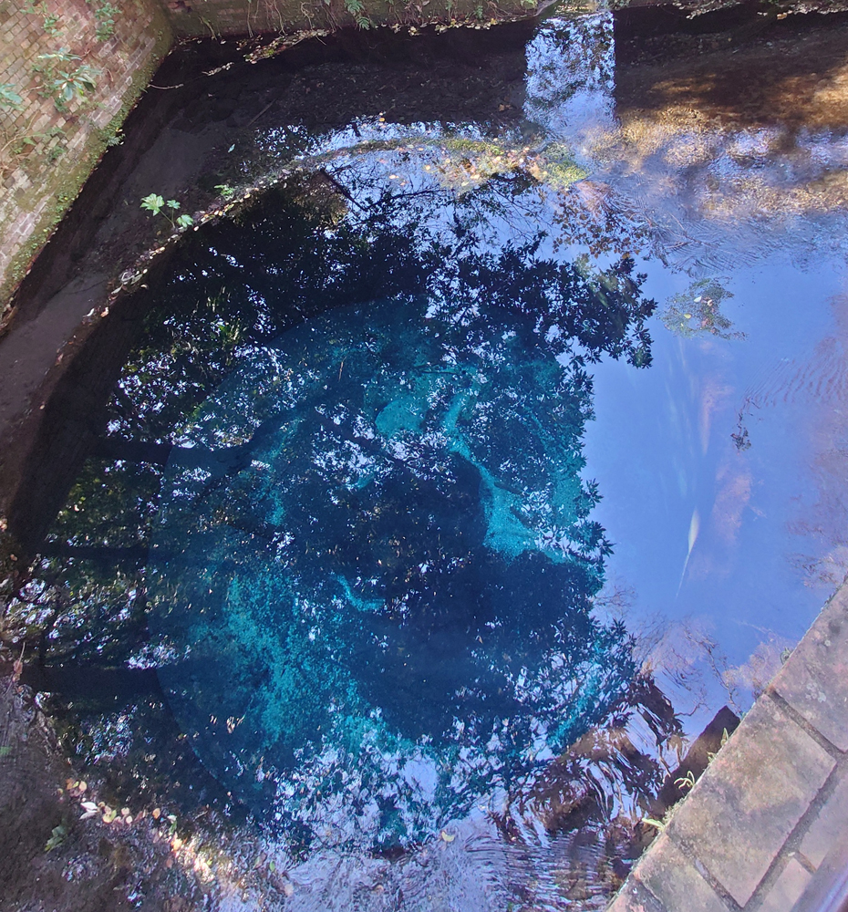 柿田川の流水軍の象徴:湧き間(ブルーホール)
