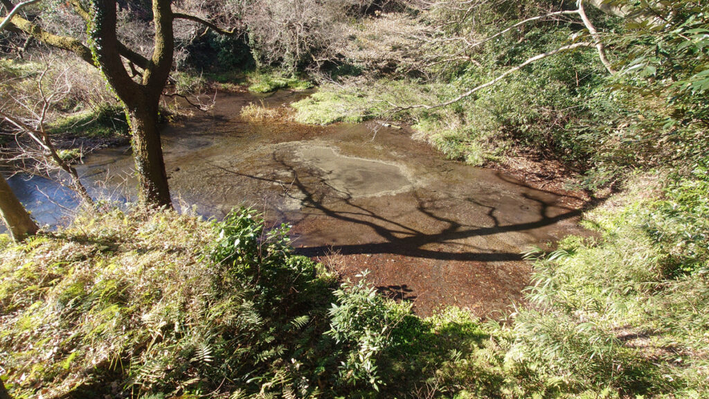 地元住民が組織した「柿田川湧水保全の会」で守っている。