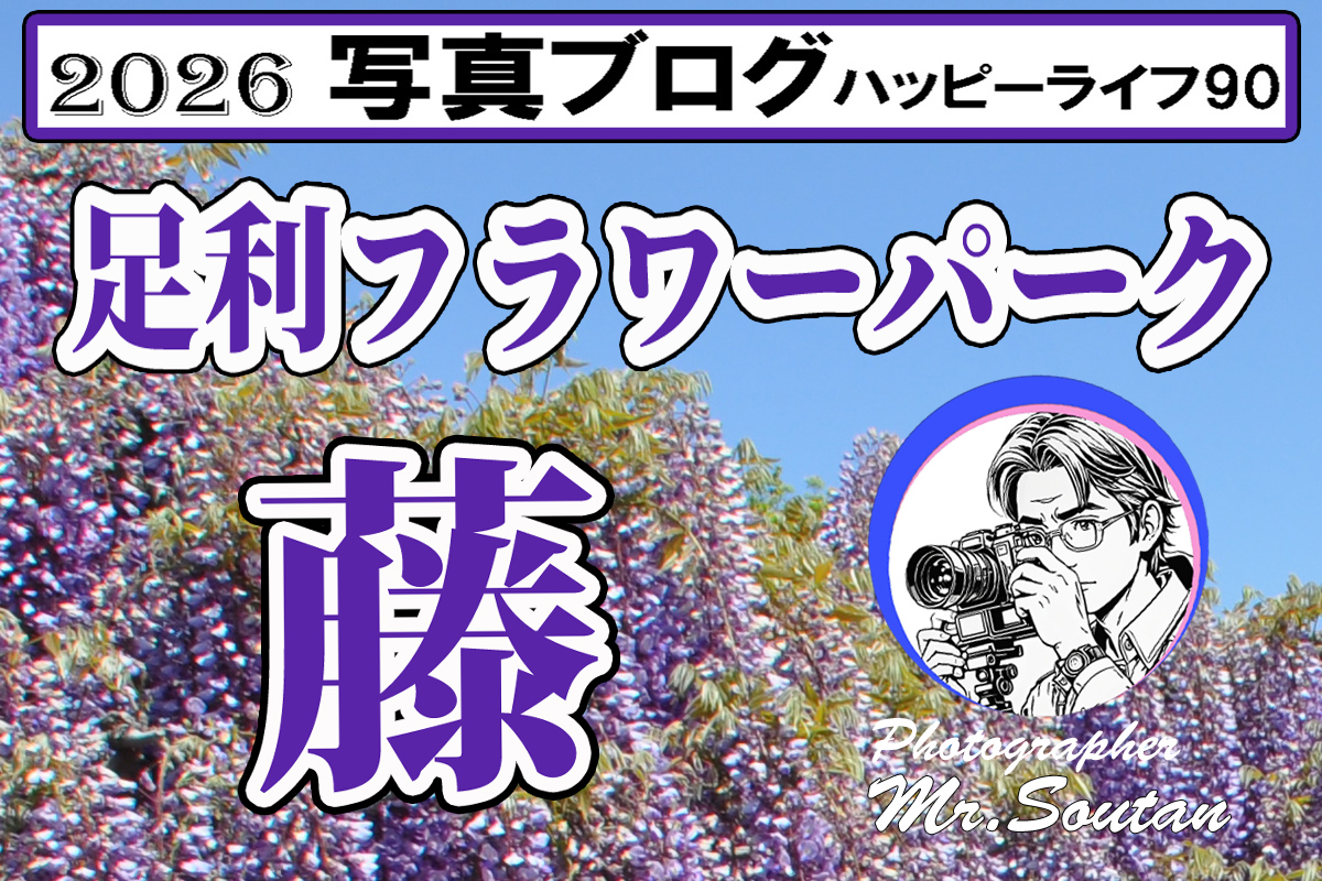 足利フラワーパーク・藤の魅力を写真とコメントでお送りします。