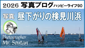 昼下がりの検見川浜