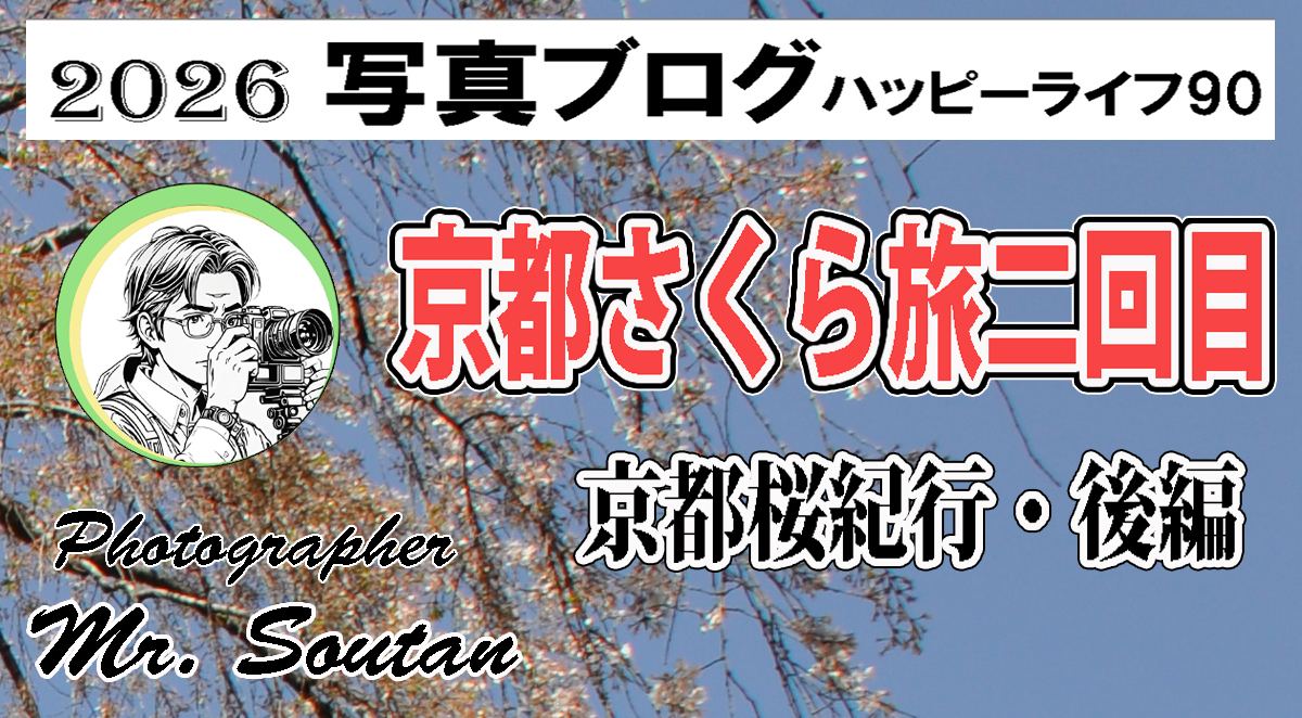 京都桜紀行：後編