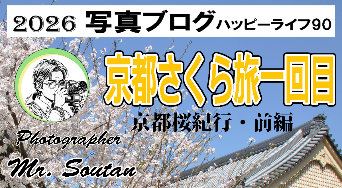 京都さくら旅第一回