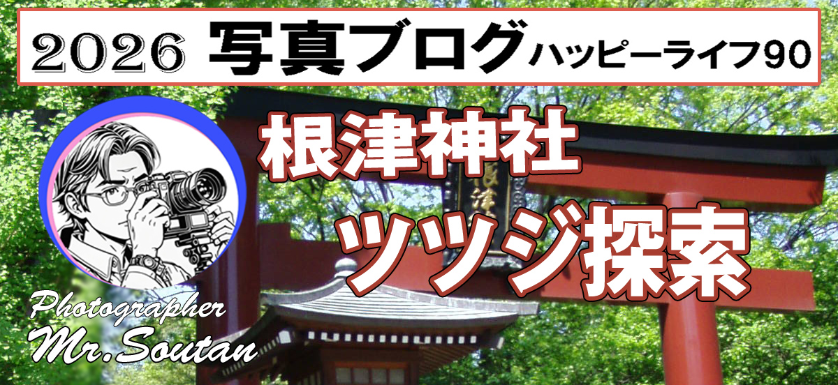 根津神社探索1