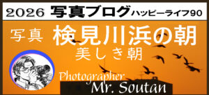 検見川浜朝の情景