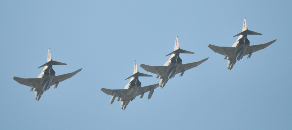 空を舞う姿はまるで鳥のように優美です。