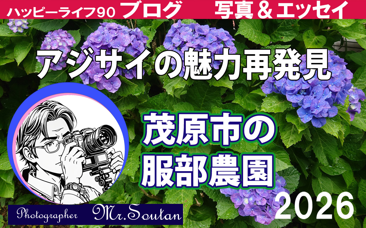 あじさいの魅力再発見